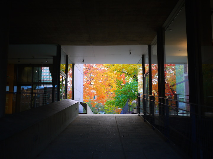 p1110004_copy.jpg